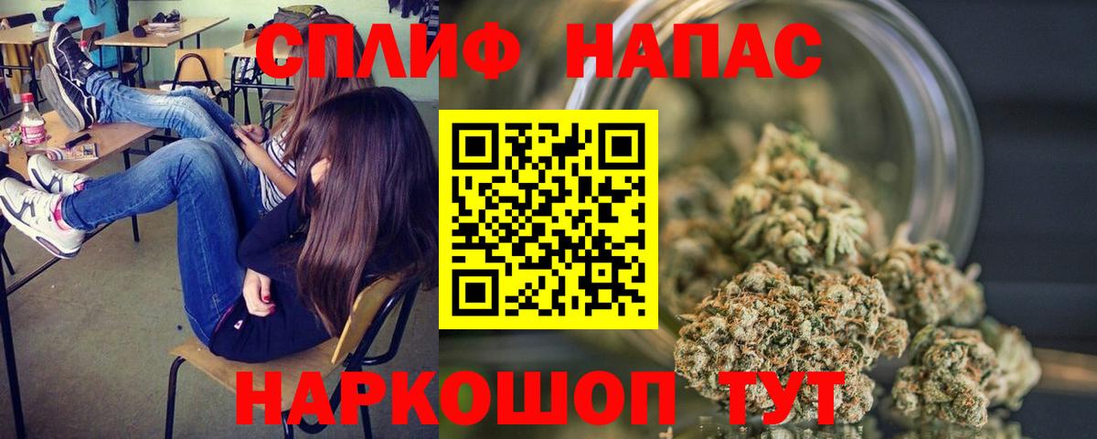 Бошки Шишки ГИДРОПОН Гагарин